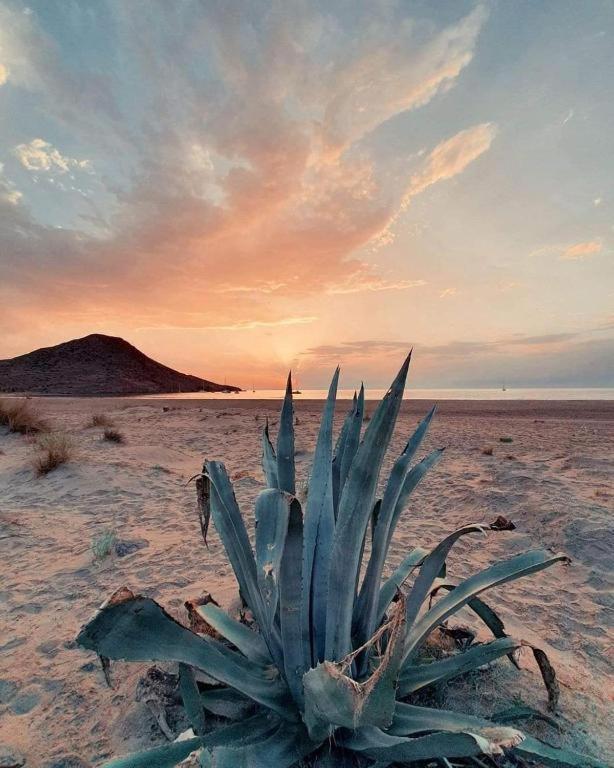 Magnifica Casa Con Encanto En Agua Amarga Agua Amarga  Buitenkant foto