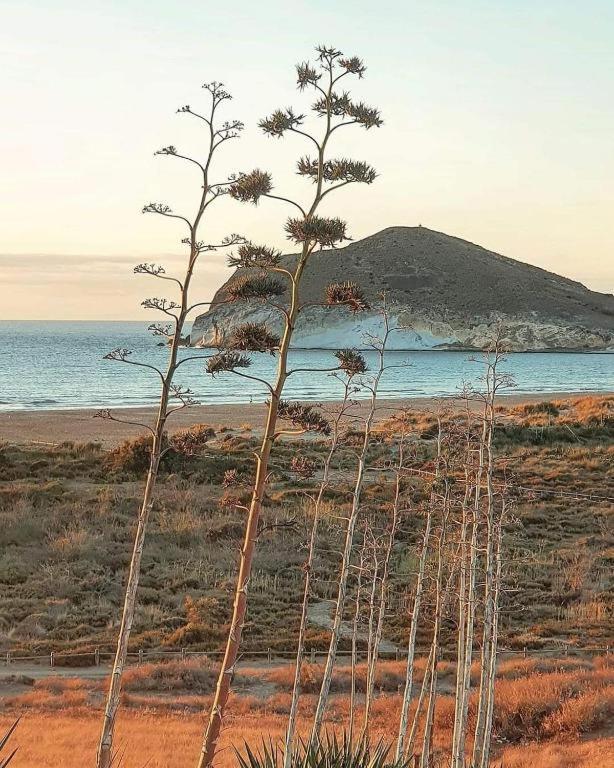 Magnifica Casa Con Encanto En Agua Amarga Agua Amarga  Buitenkant foto